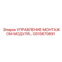 GS15870891 УПРАВЛЕНИЕ МОНТАЖОМ МОДУЛЯ Epiroc