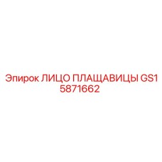 GS15871662 ЛИЦО ПЛАЩАВИЦЫ Epiroc