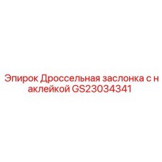 GS23034341 Дроссельная заслонка с наклейкой Epiroc