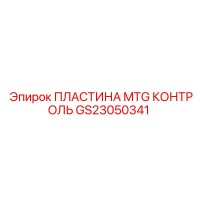 GS23050341 ПЛАСТИНА MTG КОНТРОЛЬ Epiroc