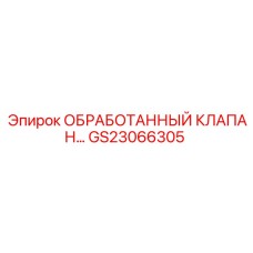 GS23066305 ОБРАБОТАННЫЙ КЛАПАН Epiroc