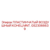 GS23066639 ПЛАСТИНЧАТЫЙ ВОЗДУШНЫЙ КОНЕЦ MNT Epiroc