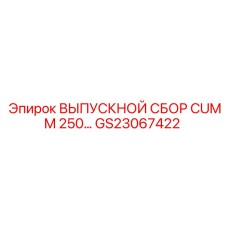 GS23067422 ВЫПУСКНОЙ СБОР CUMM 250 Epiroc