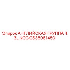GS35081450 АНГЛИЙСКАЯ ГРУППА 4.3L NGG by Epiroc
