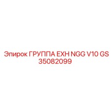 GS35082099 ГРУППА EXH NGG V10 Epiroc