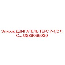 GS36065030 ДВИГАТЕЛЬ TEFC 7-1/2 Л.С. Epiroc