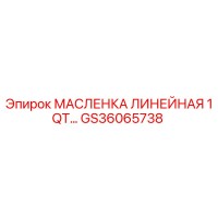GS36065738 МАСЛЕНКА ЛИНЕЙНАЯ 1QT… Epiroc