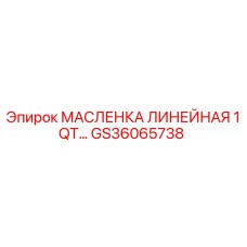 GS36065738 МАСЛЕНКА ЛИНЕЙНАЯ 1QT… Epiroc