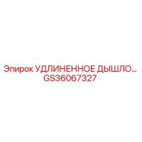 GS36067327 УДЛИНЕННОЕ ДЫШЛО Epiroc