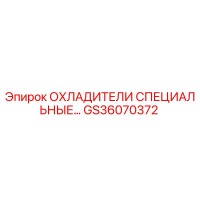 GS36070372 ОХЛАДИТЕЛИ СПЕЦИАЛЬНЫЕ Epiroc