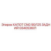 GS4053601 КАПОТ CNG 90/125 ЗАДНИЙ Epiroc