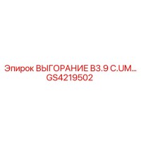 GS4219502 ВЫГОРАНИЕ B3.9 C.UM… Epiroc