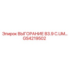 GS4219502 ВЫГОРАНИЕ B3.9 C.UM… Epiroc