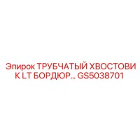 GS5038701 ТРУБЧАТЫЙ ХВОСТОВИК LT БОРДЮР… Epiroc