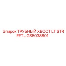 GS5038801 ТРУБНЫЙ ХВОСТ LT STREET… Epiroc