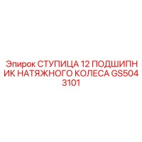 СТУПИЦА 12 ПОДШИПНИК НАТЯЖНОГО КОЛЕСА GS5043101 Epiroc