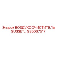 GS5067517 ВОЗДУХООЧИСТИТЕЛЬ GUSSET Epiroc