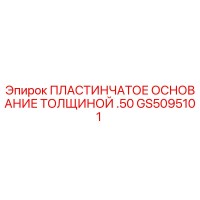 GS5095101 ПЛАСТИНЧАТОЕ ОСНОВАНИЕ ТОЛЩИНОЙ .50 Epiroc