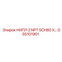 GS5101901 НИПЛ 2 NPT SCH80 X Epiroc