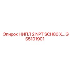 GS5101901 НИПЛ 2 NPT SCH80 X Epiroc
