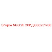 GS5231788 NGG 25 СКИД Epiroc
