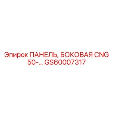 GS60007317 ПАНЕЛЬ, БОКОВАЯ CNG 50 Epiroc