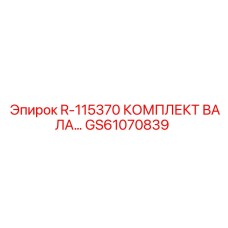 GS61070839 R-115370 КОМПЛЕКТ ВАЛА Epiroc