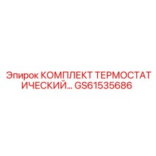GS61535686 КОМПЛЕКТ ТЕРМОСТАТИЧЕСКИЙ Epiroc