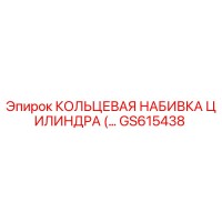 GS615438 КОЛЬЦЕВАЯ НАБИВКА ЦИЛИНДРА Epiroc