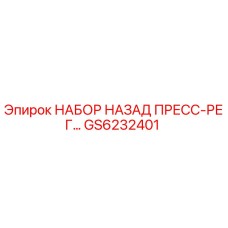 GS6232401 НАБОР НАЗАД ПРЕСС-РЕГ Эпирок