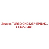 GS6273401 TURBO CNG125 ЧЕРДАК Epiroc