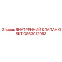 GS63012053 ВНУТРЕННИЙ КЛАПАН GSKT Epiroc
