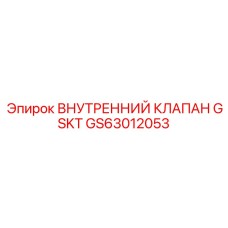 GS63012053 ВНУТРЕННИЙ КЛАПАН GSKT Epiroc