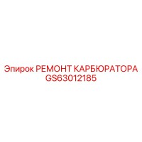 GS63012185 РЕМОНТ КАРБЮРАТОРА Эпирок