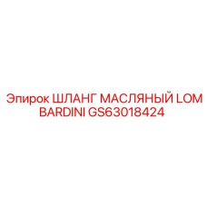 GS63018424 Шланг масляный Lombardini Epiroc