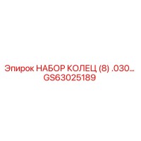 GS63025189 НАБОР КОЛЕЦ (8) .030… Epiroc