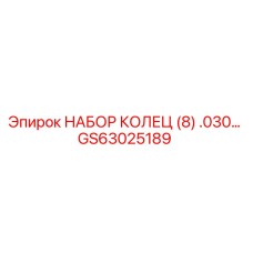 GS63025189 НАБОР КОЛЕЦ (8) .030… Epiroc