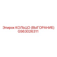 GS63026311 КОЛЬЦО (ВЫГОРАНИЕ) Epiroc