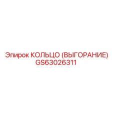 GS63026311 КОЛЬЦО (ВЫГОРАНИЕ) Epiroc