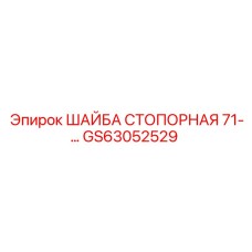 Стопорная шайба из нержавеющей стали GS63052529