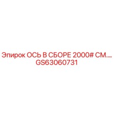 GS63060731 Axle Assembly 2000# Epiroc