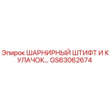 GS63062674 ШАРНИРНЫЙ ШТИФТ И КУЛАЧОК Epiroc