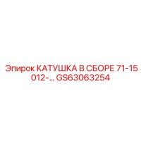GS63063254 КАТУШКА В СБОРЕ 71-15012 Epiroc