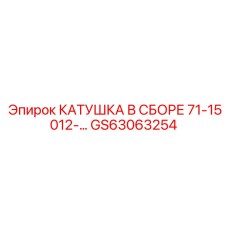GS63063254 КАТУШКА В СБОРЕ 71-15012 Epiroc