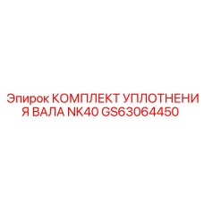GS63064450 КОМПЛЕКТ УПЛОТНЕНИЯ ВАЛА NK40 (Epiroc)