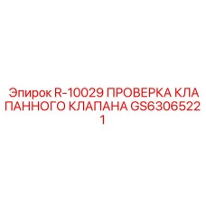 GS63065221 R-10029 ПРОВЕРКА КЛАПАННОГО КЛАПАНА Epiroc