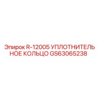 GS63065238 R-12005 УПЛОТНИТЕЛЬНОЕ КОЛЬЦО Epiroc