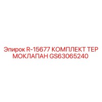GS63065240 R-15677 КОМПЛЕКТ ТЕРМОКЛАПАН Epiroc