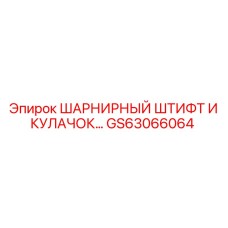 GS63066064 ШАРНИРНЫЙ ШТИФТ И КУЛАЧОК Epiroc