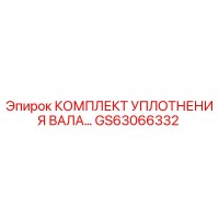 GS63066332 КОМПЛЕКТ УПЛОТНЕНИЯ ВАЛА Epiroc